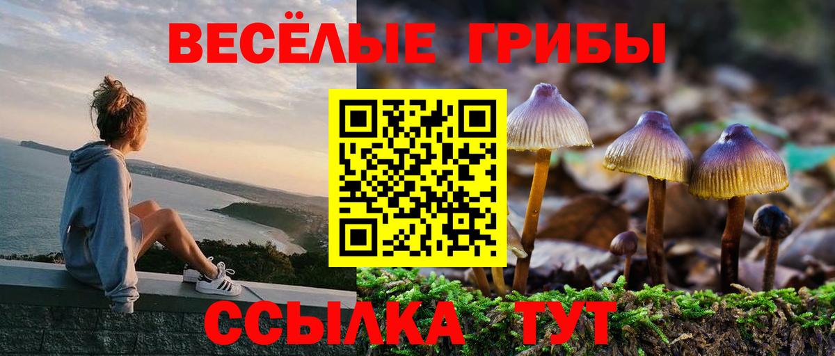 Галлюциногенные грибы мухоморы Сафоново